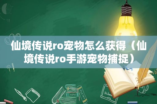 仙境传说ro宠物怎么获得（仙境传说ro手游宠物捕捉）