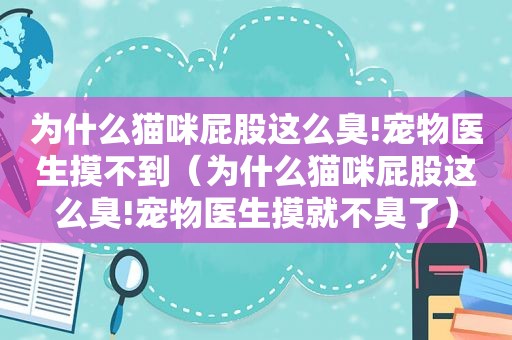 为什么猫咪 *** 这么臭!宠物医生摸不到（为什么猫咪 *** 这么臭!宠物医生摸就不臭了）