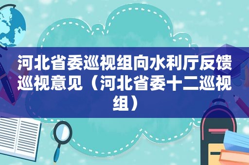 河北省委巡视组向水利厅反馈巡视意见（河北省委十二巡视组）