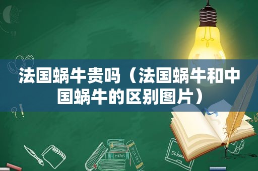 法国蜗牛贵吗（法国蜗牛和中国蜗牛的区别图片）