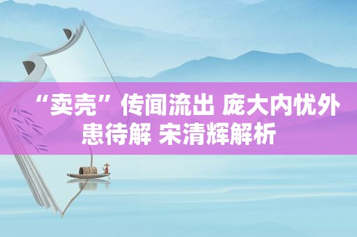 “卖壳”传闻流出 庞大内忧外患待解 宋清辉解析