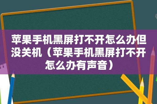 苹果手机黑屏打不开怎么办但没关机（苹果手机黑屏打不开怎么办有声音）