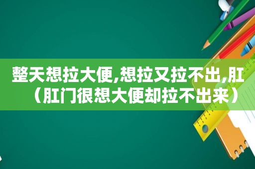 整天想拉大便,想拉又拉不出,肛（ *** 很想大便却拉不出来）