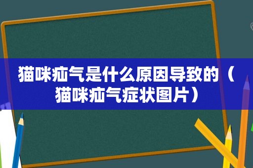 猫咪疝气是什么原因导致的（猫咪疝气症状图片）