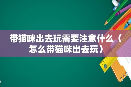 带猫咪出去玩需要注意什么（怎么带猫咪出去玩）