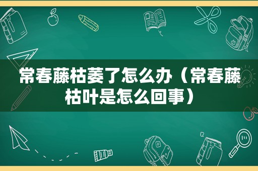 常春藤枯萎了怎么办（常春藤枯叶是怎么回事）