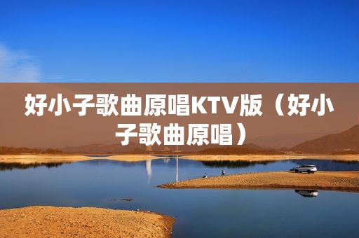 好小子歌曲原唱KTV版（好小子歌曲原唱）