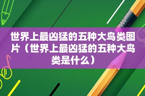 世界上最凶猛的五种大鸟类图片（世界上最凶猛的五种大鸟类是什么）