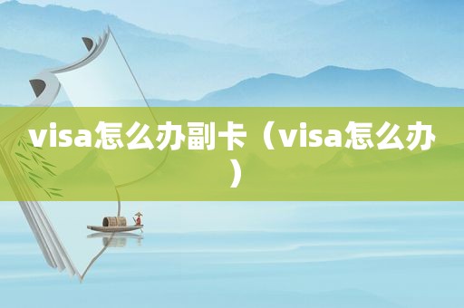 visa怎么办副卡（visa怎么办）