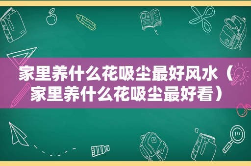 家里养什么花吸尘最好风水（家里养什么花吸尘最好看）