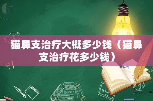 猫鼻支治疗大概多少钱（猫鼻支治疗花多少钱）