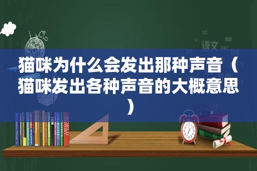 猫咪为什么会发出那种声音（猫咪发出各种声音的大概意思）