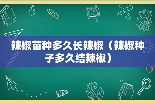 辣椒苗种多久长辣椒（辣椒种子多久结辣椒）