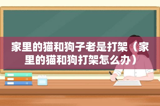 家里的猫和狗子老是打架（家里的猫和狗打架怎么办）