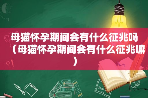 母猫怀孕期间会有什么征兆吗（母猫怀孕期间会有什么征兆嘛）