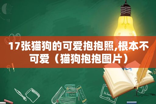 17张猫狗的可爱抱抱照,根本不可爱（猫狗抱抱图片）