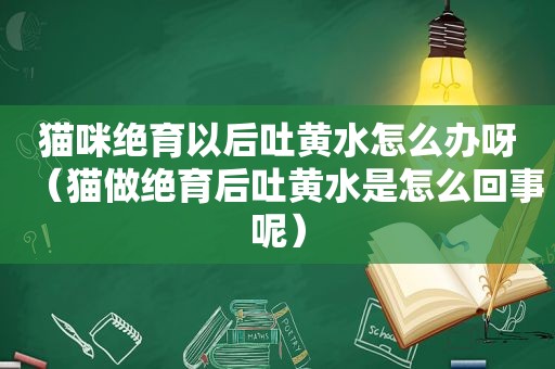 猫咪绝育以后吐黄水怎么办呀（猫做绝育后吐黄水是怎么回事呢）