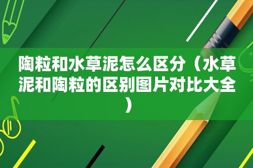 陶粒和水草泥怎么区分（水草泥和陶粒的区别图片对比大全）