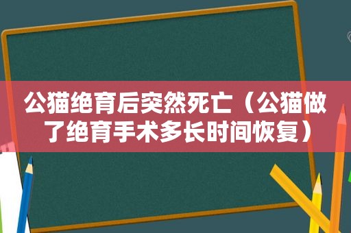 公猫绝育后突然死亡（公猫做了绝育手术多长时间恢复）