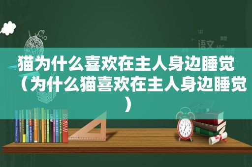 猫为什么喜欢在主人身边睡觉（为什么猫喜欢在主人身边睡觉）