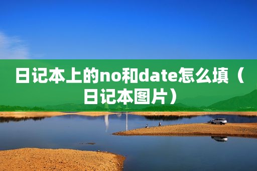 日记本上的no和date怎么填（日记本图片）