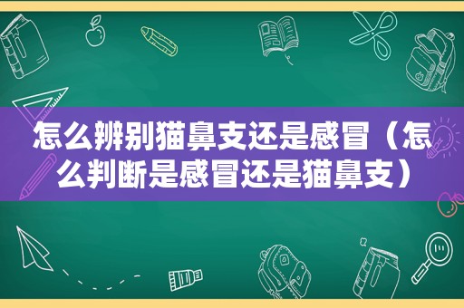 怎么辨别猫鼻支还是感冒（怎么判断是感冒还是猫鼻支）