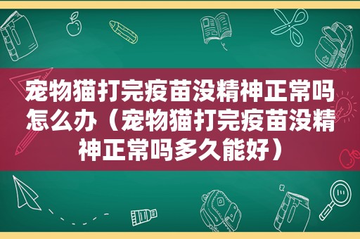 宠物猫打完疫苗没精神正常吗怎么办（宠物猫打完疫苗没精神正常吗多久能好）