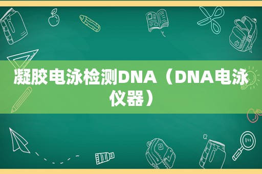 凝胶电泳检测DNA（DNA电泳仪器）