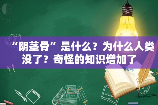 “ *** 骨”是什么？为什么人类没了？奇怪的知识增加了