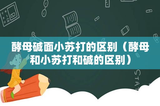 酵母碱面小苏打的区别（酵母和小苏打和碱的区别）