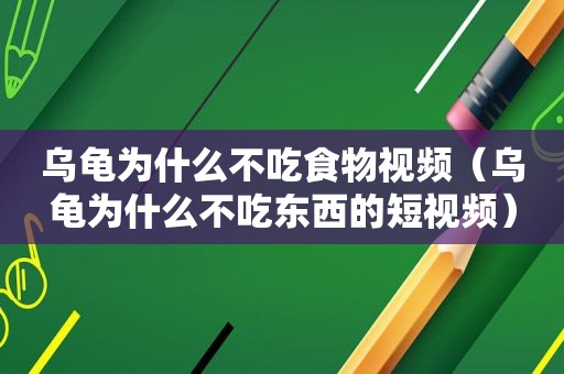 乌龟为什么不吃食物视频（乌龟为什么不吃东西的短视频）