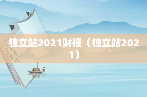 独立站2021财报（独立站2021）