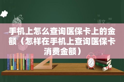 手机上怎么查询医保卡上的金额（怎样在手机上查询医保卡消费金额）