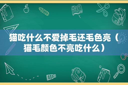 猫吃什么不爱掉毛还毛色亮（猫毛颜色不亮吃什么）