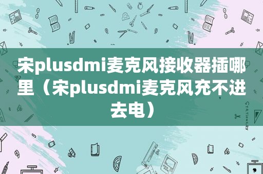 宋plusdmi麦克风接收器插哪里（宋plusdmi麦克风充不进去电）