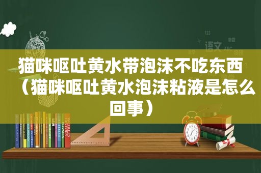 猫咪呕吐黄水带泡沫不吃东西（猫咪呕吐黄水泡沫粘液是怎么回事）