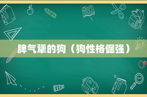 脾气犟的狗（狗性格倔强）