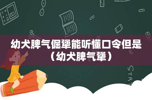 幼犬脾气倔犟能听懂口令但是（幼犬脾气犟）