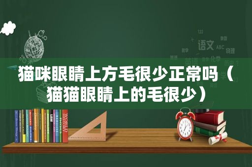 猫咪眼睛上方毛很少正常吗（猫猫眼睛上的毛很少）