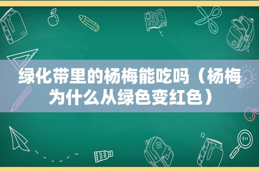 绿化带里的杨梅能吃吗（杨梅为什么从绿色变红色）