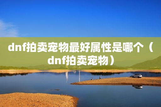 dnf拍卖宠物最好属性是哪个（dnf拍卖宠物）