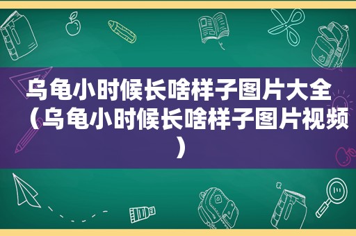 乌龟小时候长啥样子图片大全（乌龟小时候长啥样子图片视频）