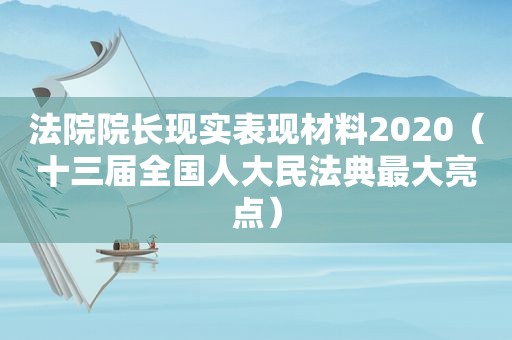 法院院长现实表现材料2020（十三届全国人大民法典最大亮点）