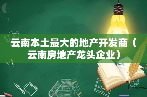 云南本土最大的地产开发商（云南房地产龙头企业）