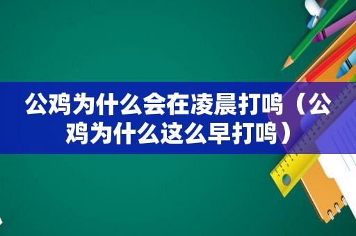 公鸡为什么会在凌晨打鸣（公鸡为什么这么早打鸣）