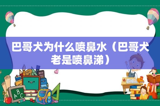 巴哥犬为什么喷鼻水（巴哥犬老是喷鼻涕）