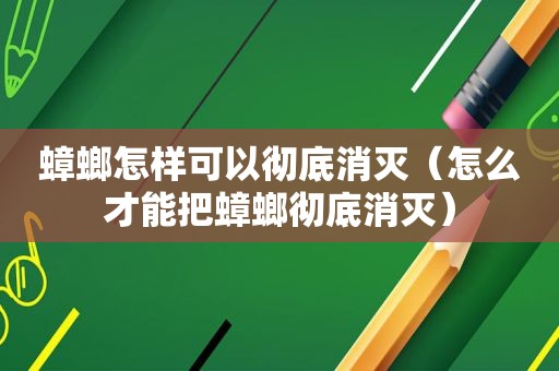 蟑螂怎样可以彻底消灭（怎么才能把蟑螂彻底消灭）