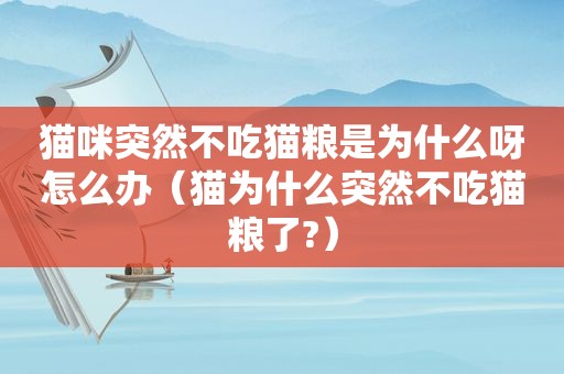 猫咪突然不吃猫粮是为什么呀怎么办（猫为什么突然不吃猫粮了?）