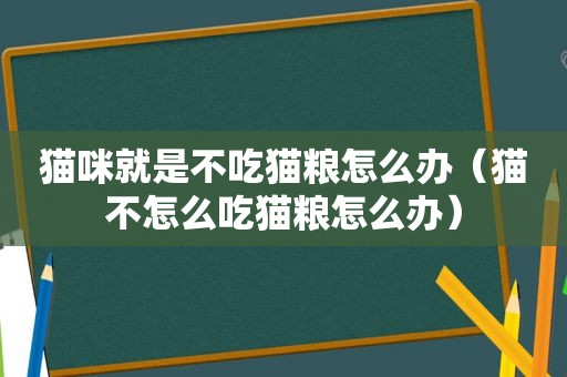 猫咪就是不吃猫粮怎么办（猫不怎么吃猫粮怎么办）