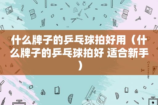 什么牌子的乒乓球拍好用（什么牌子的乒乓球拍好 适合新手）